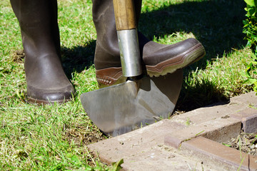 Woman gardening in the garden works with edge trimmer on a sunny summer day