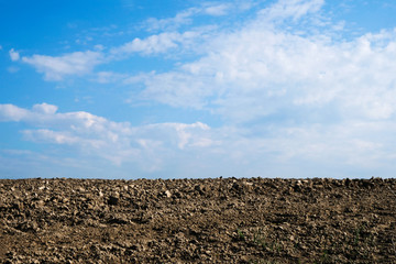 Plowed field isolated  in the morning sun in Ukraine. Copy space.