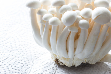 Chinesische Shimeji Pilze