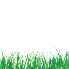 Vector Grass with Shadow on White Background