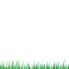 Fototapeta premium Vector Grass with Shadow on White Background