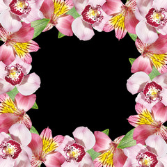 Beautiful floral background of alstroemeria and orchids. Isolated 