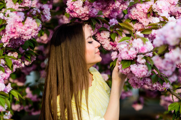 Fototapeta premium girl in cherry flower. Sakura tree blooming. blossom smell, allergy. skincare and spa. Natural cosmetics for skin. natural summer beauty. woman in spring flower bloom. Spring freshness