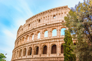 View Of Coliseum - Rome