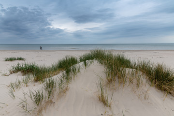 Walker at Baltic sea in cloudy day.
