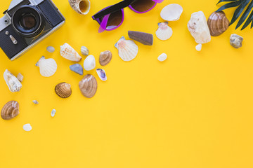 Camera with sunglasses and different shells