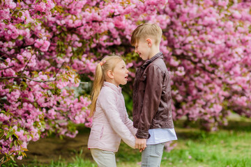 Love is in the air. Tender love feelings. Little girl and boy. Romantic date in park. Spring time to fall in love. Kids in love pink cherry blossom. Couple adorable lovely kids walk sakura garden