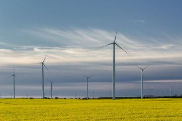 WIND FARM - Sunny morning over an ecological power plant