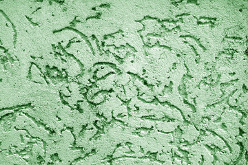 Old wall texture as background in green color.