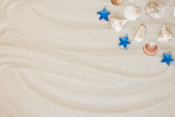 Fototapeta na wymiar Different sea shells on sand