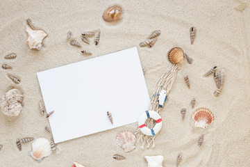 Fototapeta na wymiar Different sea shells with blank paper on sand