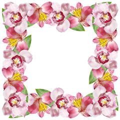 Fototapeta na wymiar Beautiful floral pattern of alstroemeria and orchids. Isolated