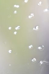 Bulles d'air prises dans la glace