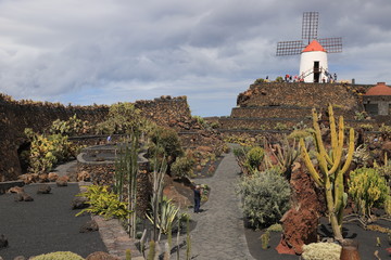 Fototapeta na wymiar jardin de cactus de Lanzarote
