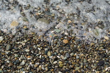 background of the coast with pebbles