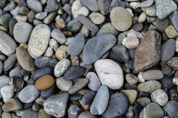 rocky colorful background of sea pebbles