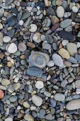 rocky colorful background of sea pebbles