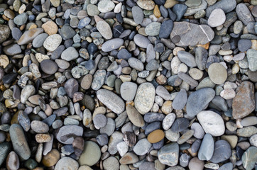 rocky colorful background of sea pebbles