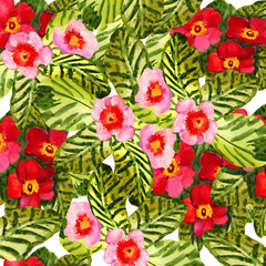 Primrose (primula) flowers. Seamless floral background. Aquarelle Card