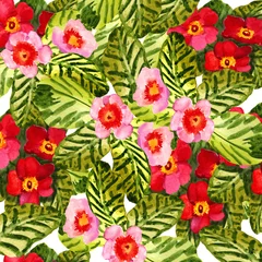 Poster Primrose (primula) flowers. Seamless floral background. Aquarelle Card © Любовь Анохина