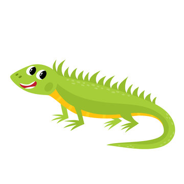 Iguana Drawing Images – Browse 7,073 Stock Photos, Vectors, and Video |  Adobe Stock