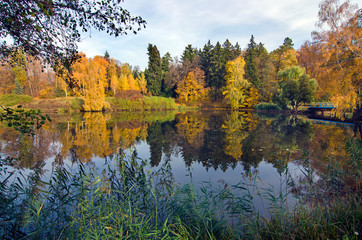 Autumn landscape with lake.