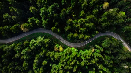Foto op Canvas Kronkelende weg door dicht dennenbos. Luchtfoto drone-weergave, van boven naar beneden © marcin jucha