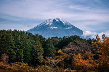 Mt. Fuji on blue sky background with autumn foliage at daytime in Fujikawaguchiko, Japan.