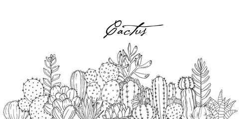 Poster with ornament hand drawn lettering, cacti and succulents on white background.