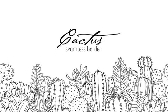 Poster with seamless ornament hand drawn lettering, cacti and succulents on white background