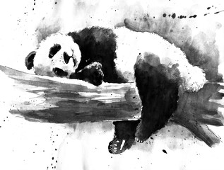  Watercolor black and white panda drawing - obrazy, fototapety, plakaty