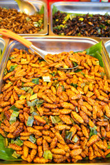 Thai street food market - Deep fried insect