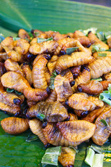Thai street food market - Deep fried insect