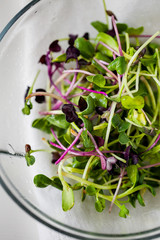 Mixed organic micro greens sprouts garnish in glass plate on white wooden background top view...