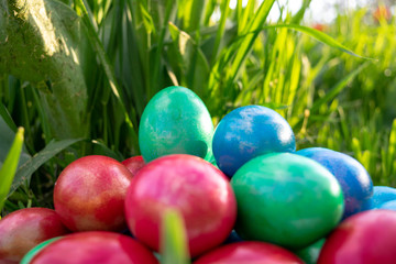 Eggs among grass dyed Easter holiday in different colors