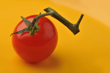 Fresh tomato with a stem isolated on the yellow background