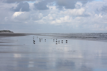 Sea and sky of Dutch island