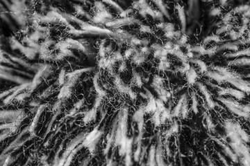 Black and white wool thread as abstract background