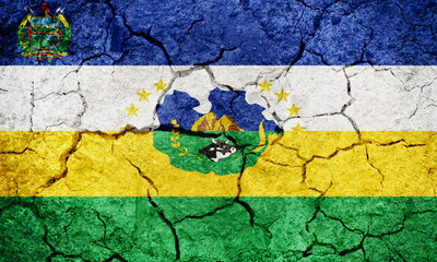 Guarico State flag