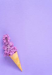 Composition of ice cream cone with purple lilac flowers on a violet background. Flat Lay. Top View. Creative summer concept