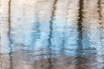 Trees with reflection in a pond in autumn