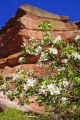 View of Red Rocks in the Rocky Mountains near Denver, Colorado