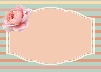 Banner with boho rose and pastel colors. Card with pink flower and empty copy space.