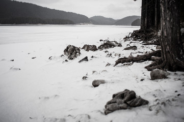 Frozen lake background. Tree roots and stones in front. Misty dark cold background.