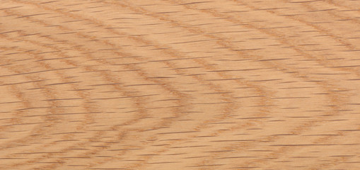 background of Ash wood on furniture surface