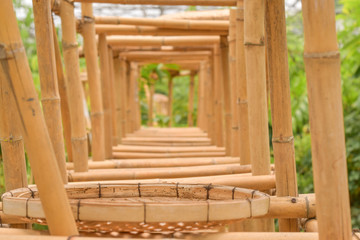 Fototapeta na wymiar Bamboo tunnel frame, beautiful tunnel frame on garden. tunnel invention from nature material