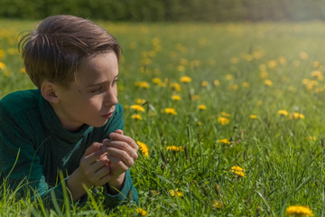 portrait of a boy resting in a field with yellow dandelions , child on a country walk