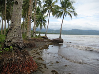 Bord de mer à Leyte aux Philippines