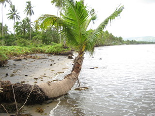 Bord de mer à Leyte aux Philippines