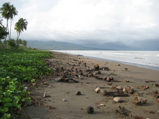 Bord de mer à Leyte aux Philippines